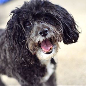 Meet your Posher, Sonia